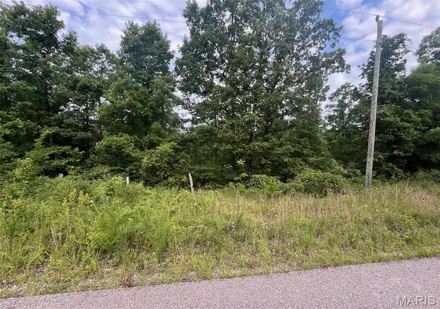 Photo 3 of Land for sale at 0 Grassy Hollow Rd, Potosi, MO 63664 | MLS# MIS26046605 | Listing updated on 2026-10-05