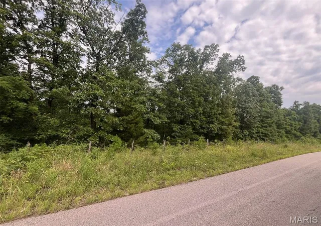 Photo 4 of Land for sale at 0 Grassy Hollow Rd, Potosi, MO 63664 | MLS# MIS26046605 | Listing updated on 2026-10-05