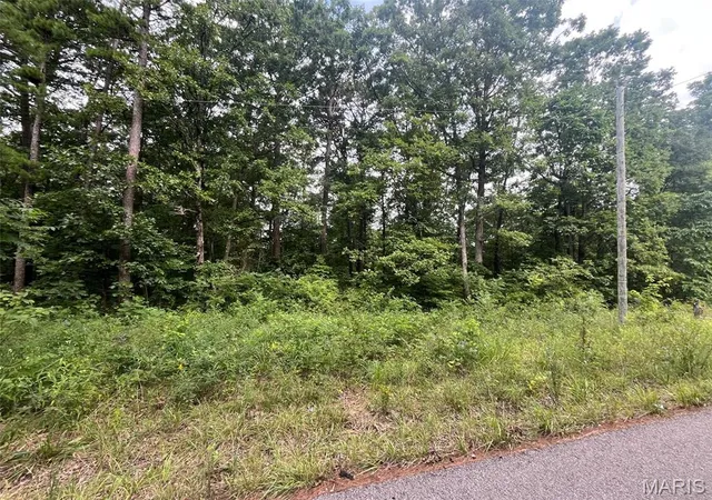 6th image of 0 Grassy Hollow Rd, Potosi, MO 63664 | MLS# MIS26046605