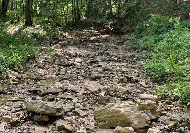Photo 1 of Land for sale at Tbd Branch Rd, Fulton, MO 65251 | MLS# MIS26046663 | Listing updated on 2026-07-21