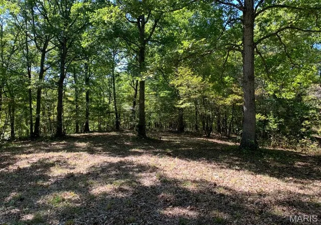 Photo 2 of Land for sale at Tbd Branch Rd, Fulton, MO 65251 | MLS# MIS26046663 | Listing updated on 2026-07-21