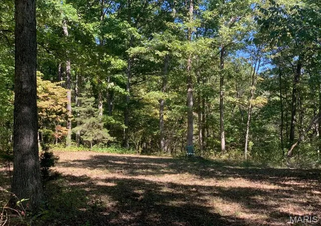 Photo 4 of Land for sale at Tbd Branch Rd, Fulton, MO 65251 | MLS# MIS26046663 | Listing updated on 2026-07-21