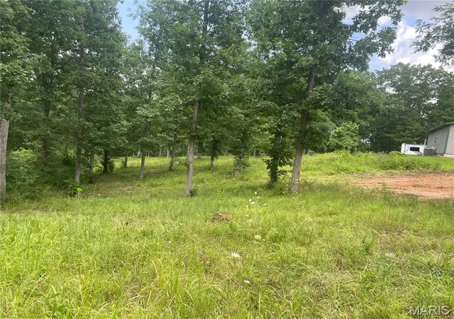 97th image of 4654 Hwy Yy, Salem, MO 65560 | MLS# MIS26046730