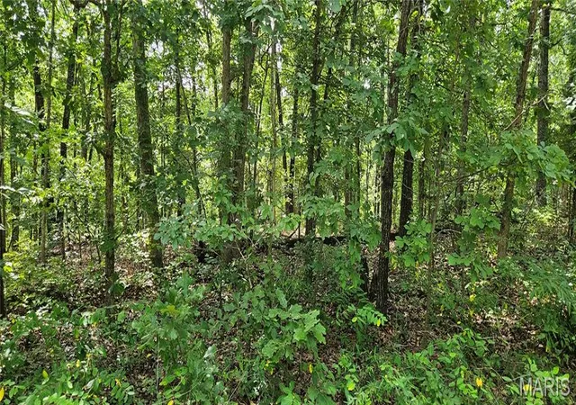 1st image of 0 County Road 4050, Salem, MO 65560 | MLS# MIS26046776