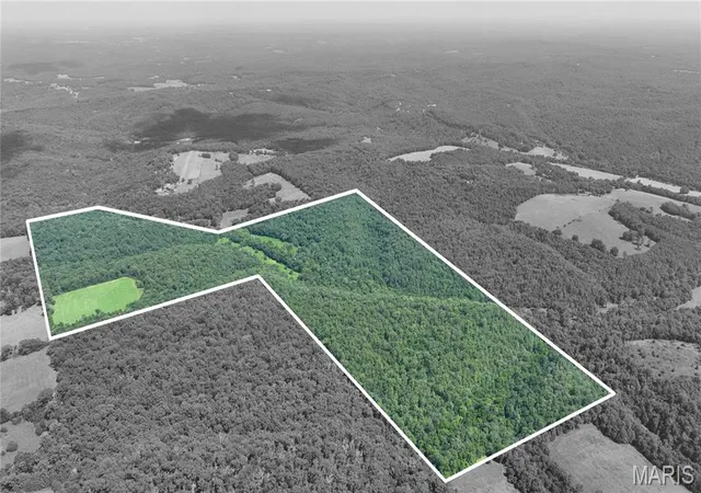 1st image of 0 County Road 76 225, Ava, MO 65608 | MLS# MIS26046820