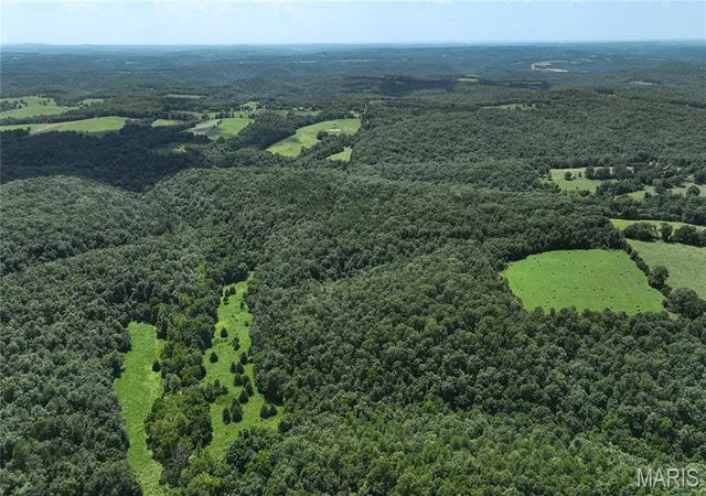 3rd image of 0 County Road 76-225, Ava, MO 65608 | MLS# MIS26046820