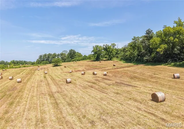 49th image of 26464 Missouri 51, Puxico, MO 63960 | MLS# MIS26046864