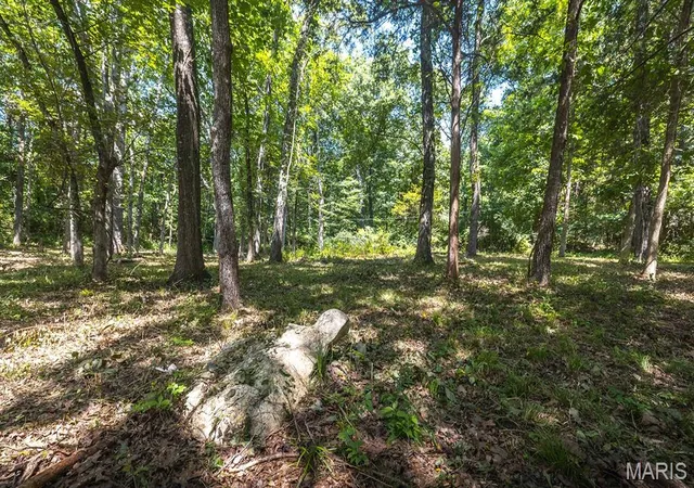 Photo 3 of Land for sale at 3107 Bouquet Rd, Wildwood, MO 63038 | MLS# MIS26046980 | Listing updated on 2026-09-02