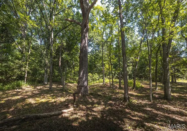 Photo 4 of Land for sale at 3107 Bouquet Rd, Wildwood, MO 63038 | MLS# MIS26046980 | Listing updated on 2026-09-02