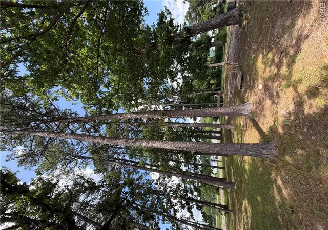 29th image of 9468 State Hwy 19, Winona, MO 65588 | MLS# MIS26046987