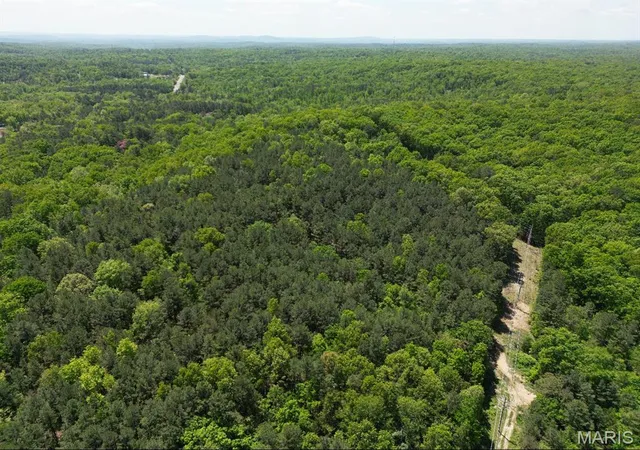 2nd image of 12488 S State Hwy 21, Potosi, MO 63664 | MLS# MIS26046995