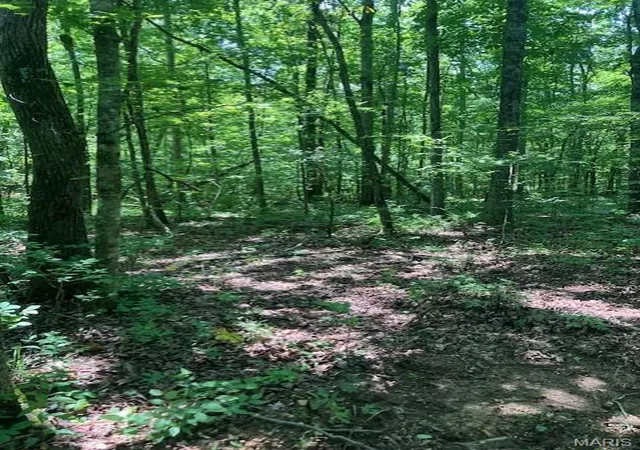 2nd image of 261 Madison Cr 410, Fredericktown, MO 63645 | MLS# MIS26047024