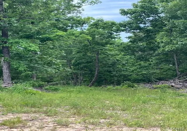 1st image of 263 Madison Cr 410, Fredericktown, MO 63645 | MLS# MIS26047032