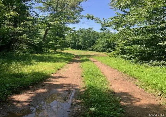 1st image of 250 Madison Cr 410, Fredericktown, MO 63645 | MLS# MIS26047046