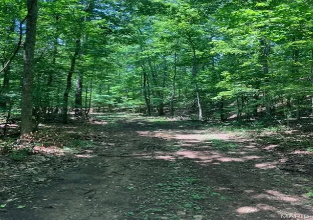2nd image of 250 Madison Cr 410, Fredericktown, MO 63645 | MLS# MIS26047046