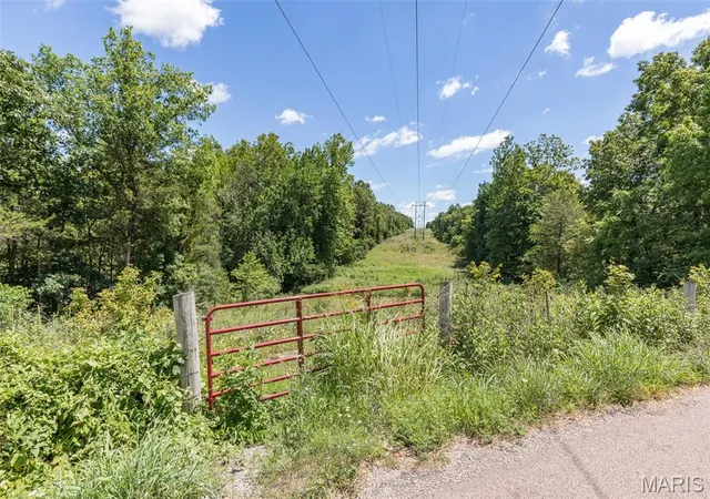 1st image of 1175 Three Rivers Rd, Farmington, MO 63640 | MLS# MIS26047087