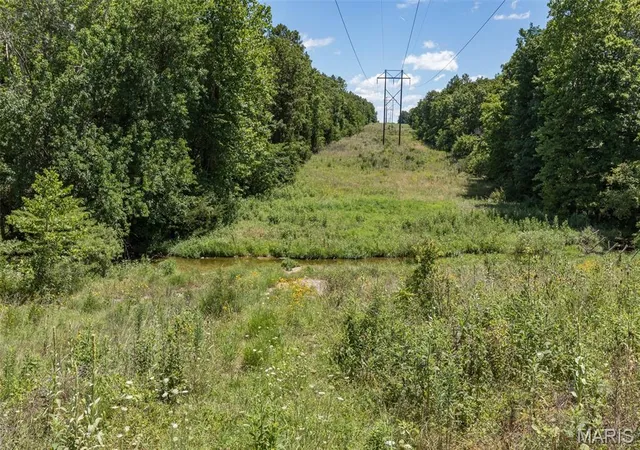 2nd image of 1175 Three Rivers Rd, Farmington, MO 63640 | MLS# MIS26047087
