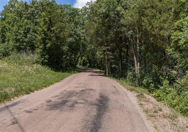 Photo 3 of Land for sale at 1175 Three Rivers Rd, Farmington, MO 63640 | MLS# MIS26047087 | Listing updated on 2026-07-23