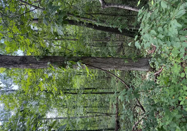 2nd image of 0 Kent Dr, Wappapello, MO 63966 | MLS# MIS26047114