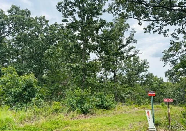 1st image of Lot 31 W Hickory Ridge Rd, Steelville, MO 65565 | MLS# MIS26047157