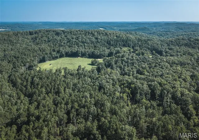 47th image of 25598 Co Road C 228, Norwood, MO 65717 | MLS# MIS26047167