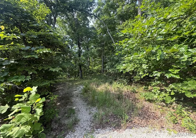 Land for sale at E Swaller Rd, Imperial, MO 63052 | MLS# MIS26047178