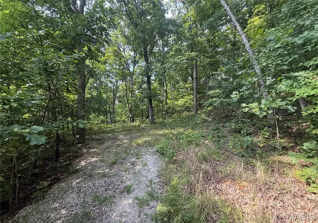 Photo 2 of Land for sale at E Swaller Rd, Imperial, MO 63052 | MLS# MIS26047178 | Listing updated on 2026-07-31