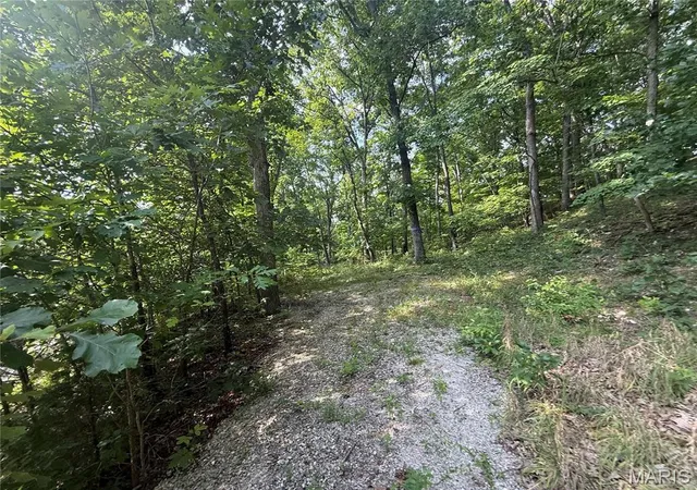 Photo 3 of Land for sale at E Swaller Rd, Imperial, MO 63052 | MLS# MIS26047178 | Listing updated on 2026-07-31