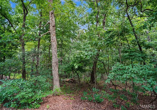 3rd image of 1524 Shalimar Ridge Ln, High Ridge, MO 63049 | MLS# MIS26047182