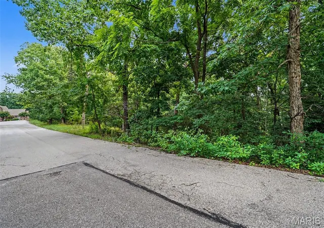 5th image of 1524 Shalimar Ridge Ln, High Ridge, MO 63049 | MLS# MIS26047182