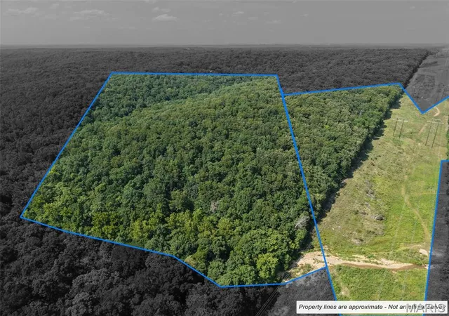 Photo 2 of Land for sale at 41 Acres Whittaker Rd, French Village, MO 63036 | MLS# MIS26047259 | Listing updated on 2026-08-11