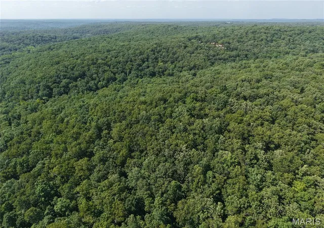 Photo 3 of Land for sale at 41 Acres Whittaker Rd, French Village, MO 63036 | MLS# MIS26047259 | Listing updated on 2026-08-11