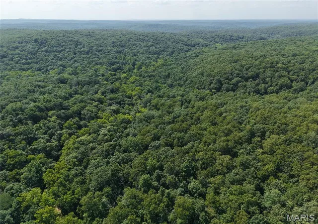 Photo 3 of Land for sale at 41 Acres Whittaker Rd, French Village, MO 63036 | MLS# MIS26047259 | Listing updated on 2026-08-11
