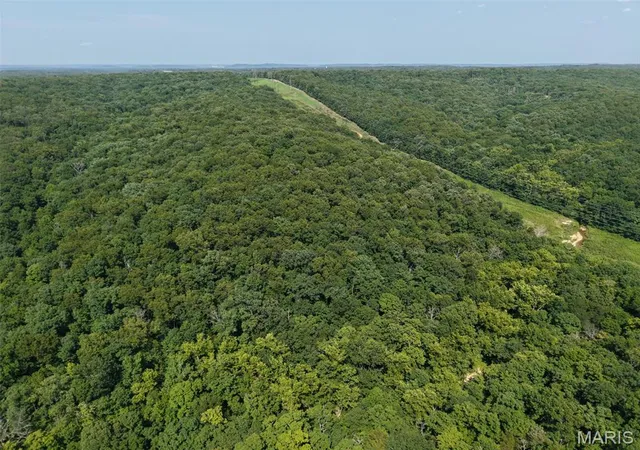 Photo 4 of Land for sale at 41 Acres Whittaker Rd, French Village, MO 63036 | MLS# MIS26047259 | Listing updated on 2026-08-11