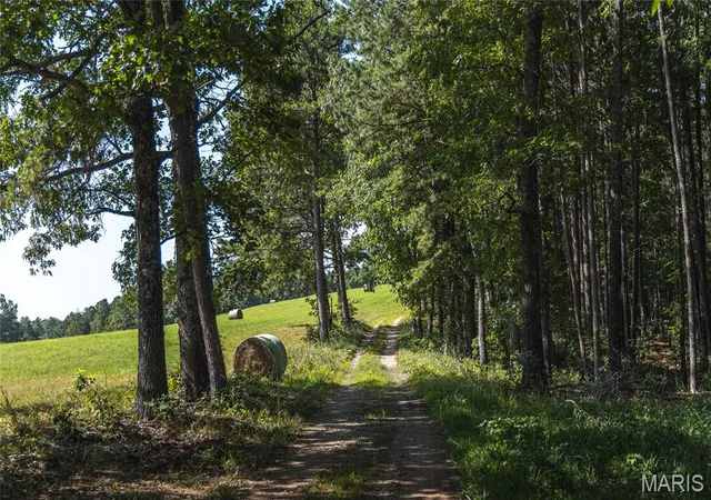 1st image of Tract 4 Private Dr 2336, Norwood, MO 65717 | MLS# MIS26047271
