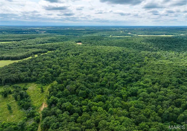 1st image of 0000 Se 1151 Rd, Collins, MO 64738 | MLS# MIS26047291