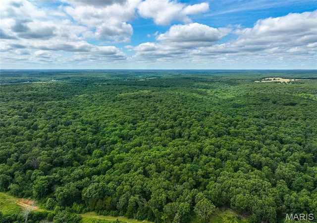41st image of 0000 Se 1151 Rd, Collins, MO 64738 | MLS# MIS26047291