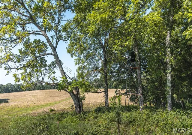 11th image of Tract 6 Private Dr 2336, Norwood, MO 65717 | MLS# MIS26047294