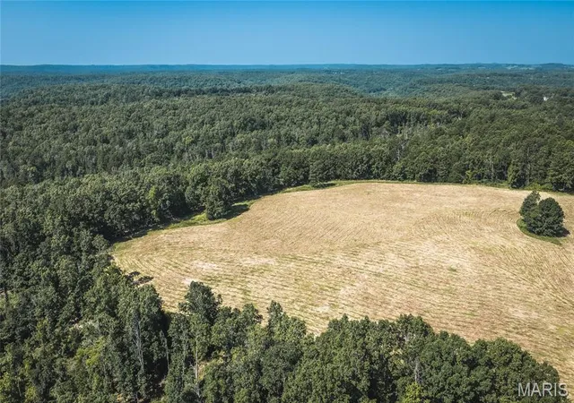 4th image of Tract 6 Private Dr 2336, Norwood, MO 65717 | MLS# MIS26047294