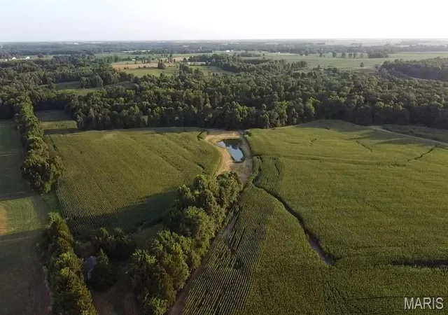 4th image of 4509 Pike 451, Curryville, MO 63339 | MLS# MIS26047297