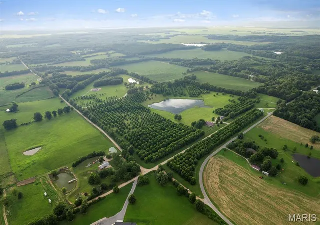 Photo 1 of Land for sale at (Undisclosed), Puxico, MO 63960 | MLS# MIS26047304 | Listing updated on 2026-07-24