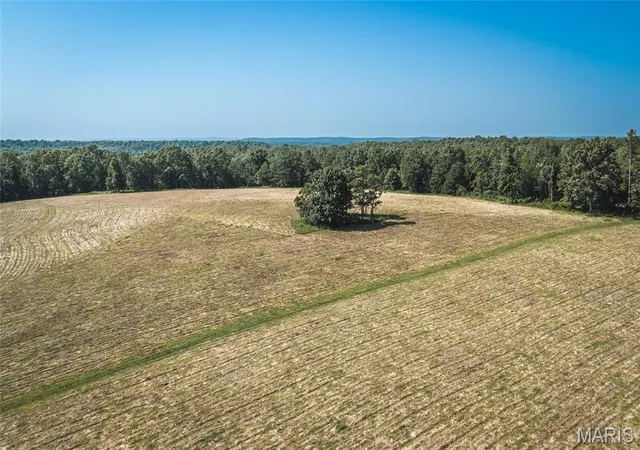 14th image of Tract 7 Private Dr 2336, Norwood, MO 65717 | MLS# MIS26047310