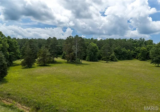 2nd image of 1882 Co Road 234, Fredericktown, MO 63645 | MLS# MIS26047349
