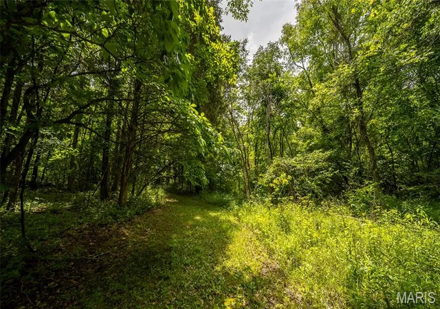 9th image of 1882 Co Road 234, Fredericktown, MO 63645 | MLS# MIS26047349
