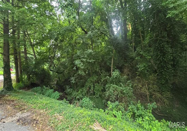 Photo 2 of Land for sale at 0 Birch Dr, Belleville, IL 62223 | MLS# MIS26047388 | Listing updated on 2026-07-24