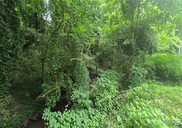 Photo 3 of Land for sale at 0 Birch Dr, Belleville, IL 62223 | MLS# MIS26047388 | Listing updated on 2026-07-24