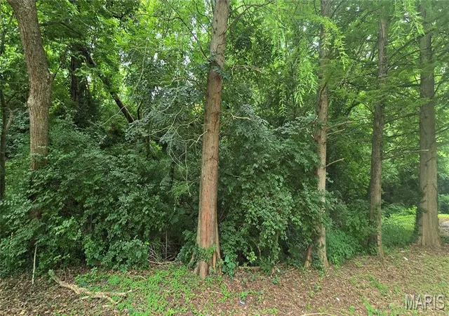 Photo 4 of Land for sale at 0 Birch Dr, Belleville, IL 62223 | MLS# MIS26047388 | Listing updated on 2026-07-24