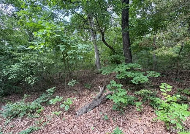 2nd image of 9979 Lincoln Dr, Hillsboro, MO 63050 | MLS# MIS26047453