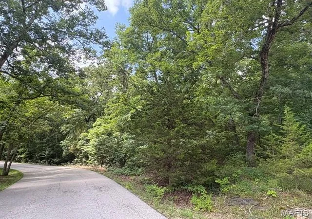 3rd image of 9979 Lincoln Dr, Hillsboro, MO 63050 | MLS# MIS26047453
