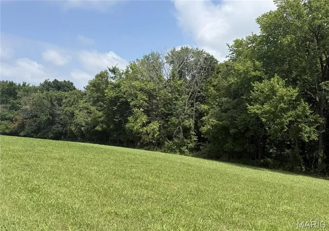2nd image of 119 Coyote Crest Ln, Augusta, MO 63332 | MLS# MIS26047546